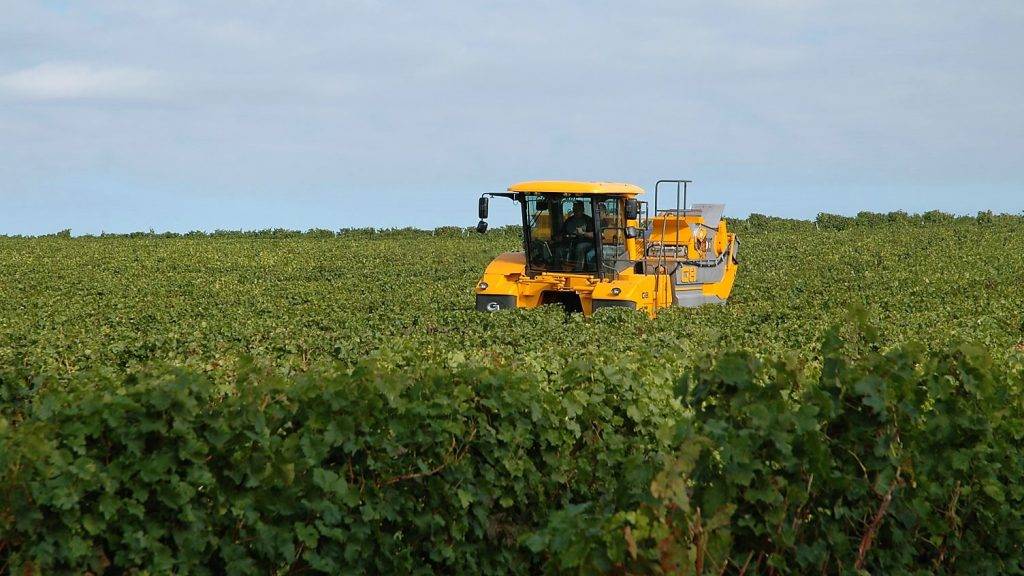Maquinaria Vendimiadora Gregoire|SONY DSC|mecanizar fruta|Mecanización-Fruticultura